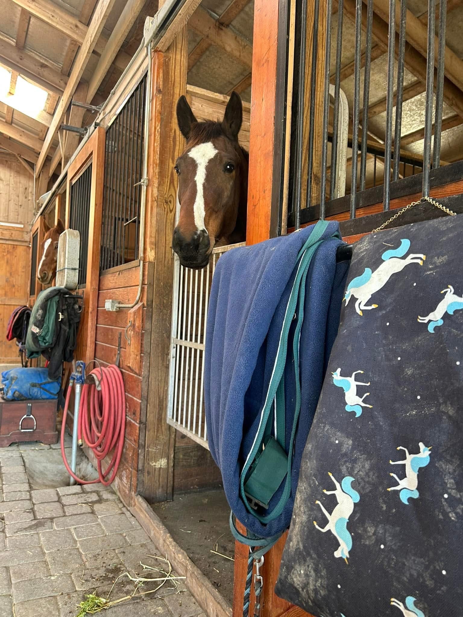 Retirement Boarding in Lanexa, VA - Image 2
