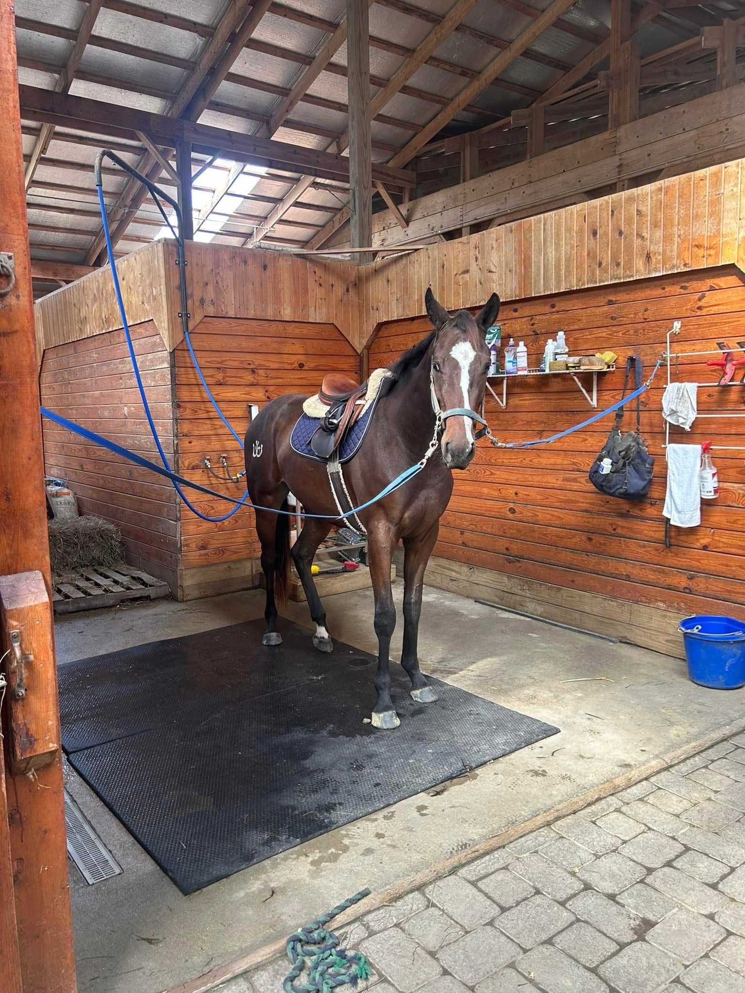 Retirement Boarding in Lanexa, VA - Image 3